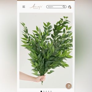 Lings moment Italian Ruscus. Unopened box. With 4 stems per box.